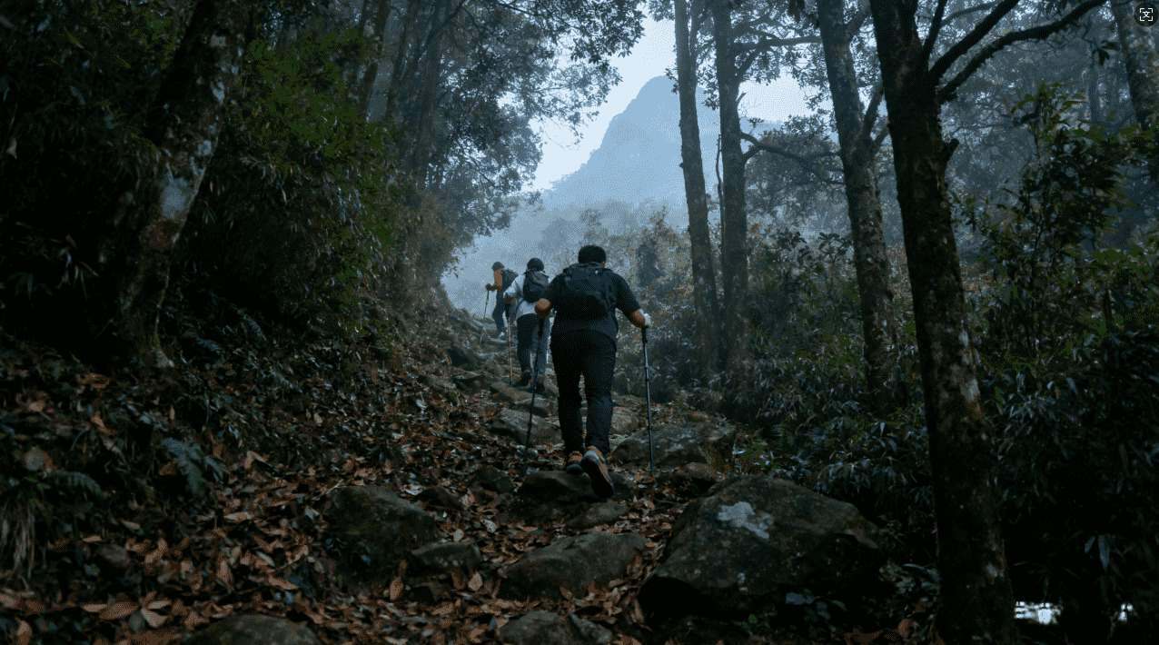 怎样才能安全地获取老王加速器软件